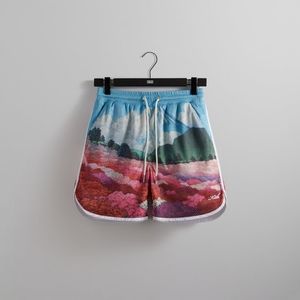 Kith printed Jordan Mesh Shorts